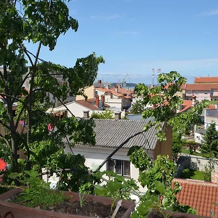 Silvana Apartament *